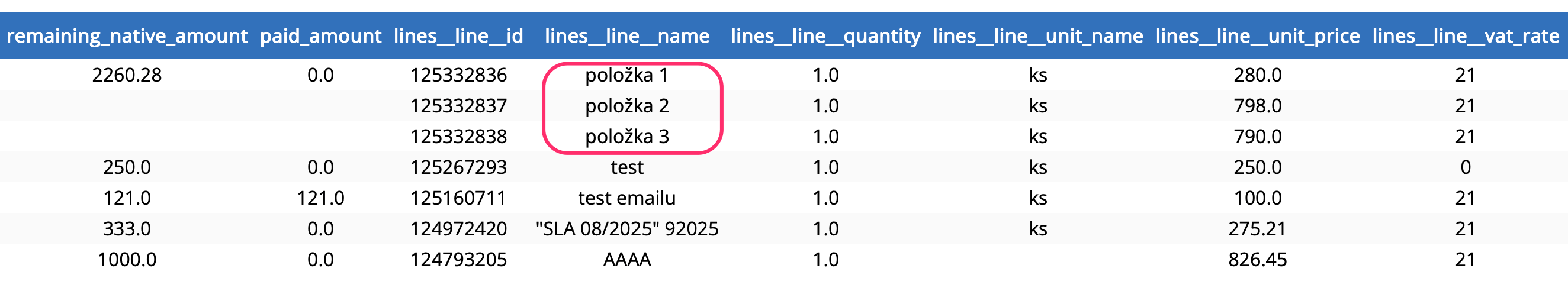 Položky jedné faktury v CSV